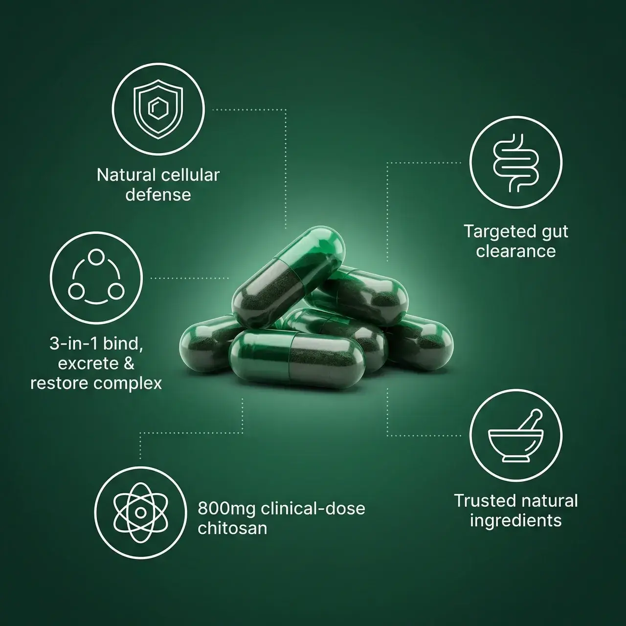 Resilia Daily Defense - Image 5